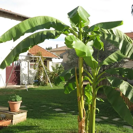 Bed and Breakfast La Grange Des Griottiers 3*