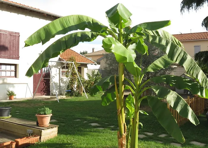 Bed and Breakfast La Grange Des Griottiers 3*